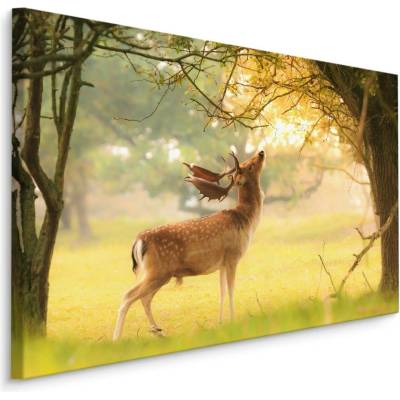 MyBestHome BOX Plátno Daněk Mezi Stromy Varianta: 90x60