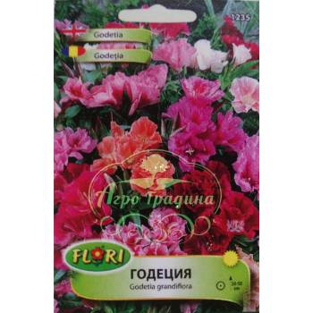 Image 1 of Флориан Годеция Смес