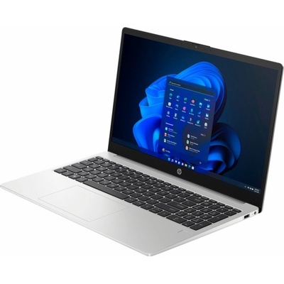 HP 255 G10 9G838ES