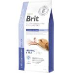 Brit Veterinary Diets GF dog Gastrointestinal Junior 6 кг
