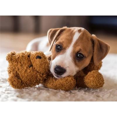 Ravensburger - Puzzle A warm hug - 500 piese