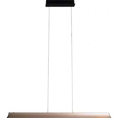 MaxLight P0594