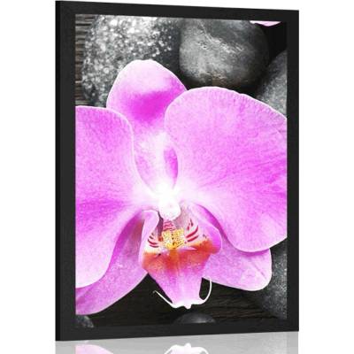 Plakát nádherná orchidej a kameny - 20x30 no frame