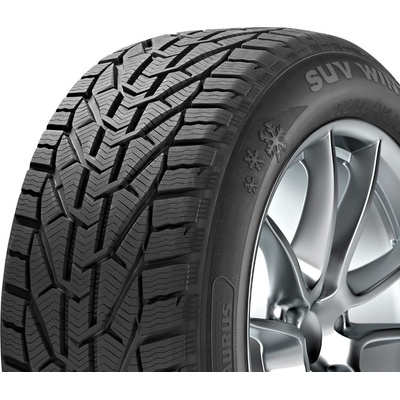 Taurus Winter 225/50 R17 98V