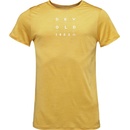 Devold Active "1853" Tee Man