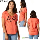 Fox Boundary Flamingo