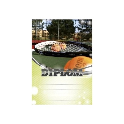 Diplom 6619