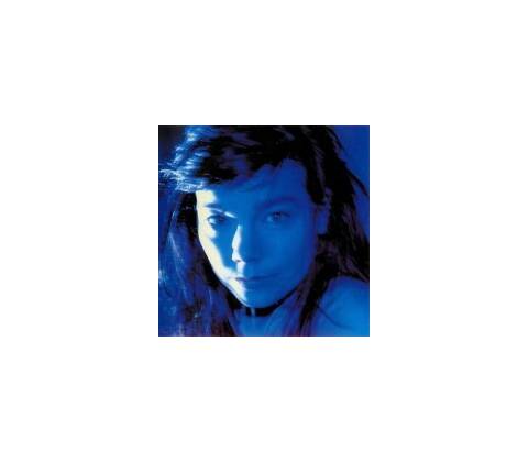 BJORK: TELEGRAM CD