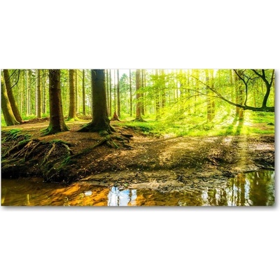 Fotoobraz na skle Slnečné lúče les 100x50 cm