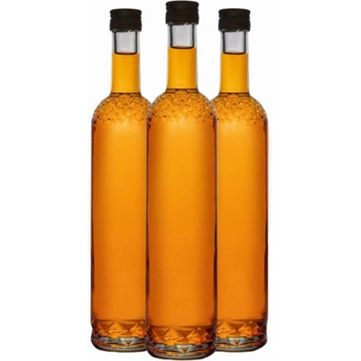 HOME Sklenená fľaša SPEED 500ml