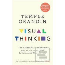 Visual Thinking