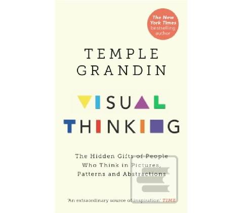 Visual Thinking