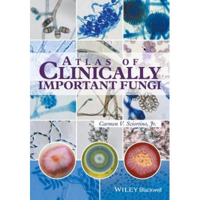 Atlas of Clinically Important Fungi Sciortino Carmen
