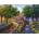 Ravensburger - Puzzle Cottage by the River - 1 500 piese