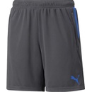 Puma individualCUP Shorts Jr 65754844