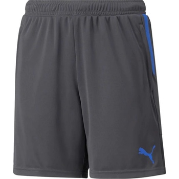 Puma individualCUP Shorts Jr 65754844