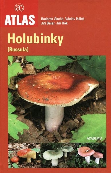 Holubinky