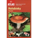 Knihy Holubinky