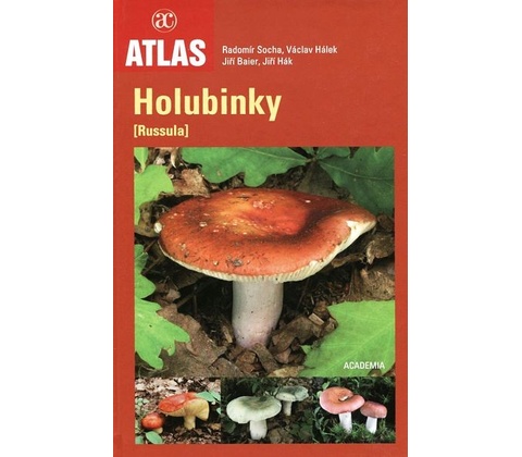 Holubinky