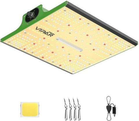 Viparspectra P1000
