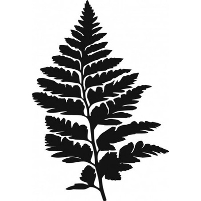 Kapradina list plastová šablona 287 C 14,5x14,5cm – Zboží Dáma