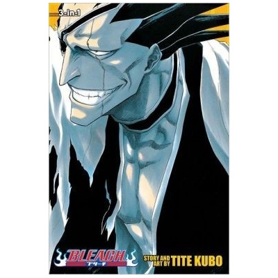 Bleach 3in1 Edition 05