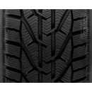 Riken Snow 195/55 R16 87H
