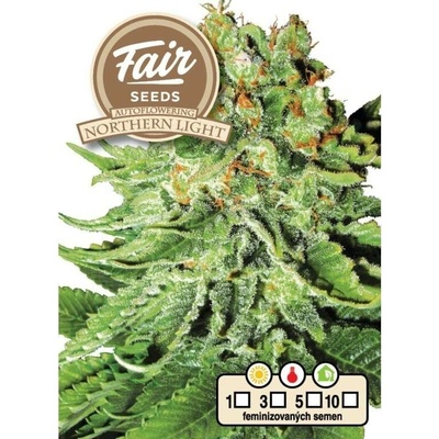Fair Seeds AUTO Northern Light semena neobsahují THC 10 ks