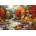 Bluebird Puzzle - Puzzle Pinson: Treasures of the Great Outdoors - 1 000 piese