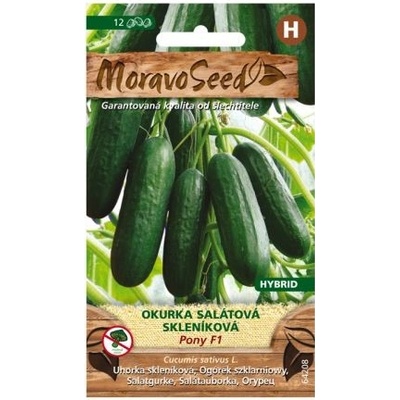 Semínka MoravoSeed Okurka salátová do skleníku PONY F1, 12 s