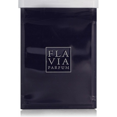Flavia Martine Pour Homme parfumovaná voda pánska 100 ml