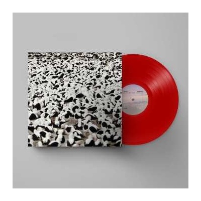 Stella Donnelly - Flood LP