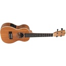 Stagg UC-30 E