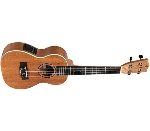 Stagg UC-30 E