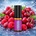 Drip Hacks Super Concentrate Cherries & Berries 10ml