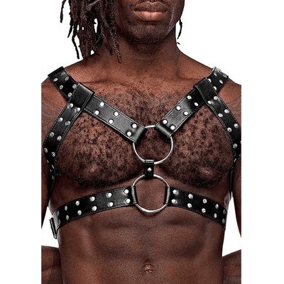 Gemini Harness postroj