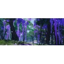 Image 1 of Sony Ghost of Tsushima [Director's Cut] (PS5)