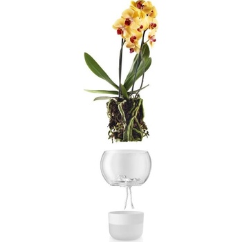 Eva Solo Skleněný samozavlažovací květináč na orchideje 15 cm