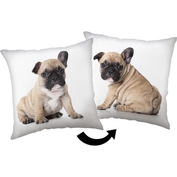Jerry Fabrics Детска възглавница 40x40 cm Bulldog - Jerry Fabrics (24CS091)
