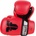 Fighter Basic