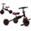 Tiny Bike 3v1 červené