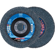 Pferd Brúsny lamelový kotúč 125 x 22,2 mm 40 4007220790175