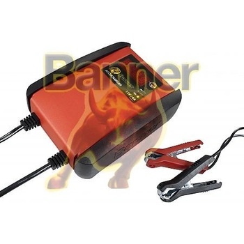 Banner Accucharger 12V 6A