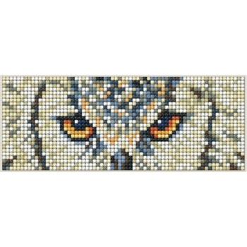 Collection D'Art Collection D`art - Фигурка с диамантена мозайка и магнит - Сова (DCM040)