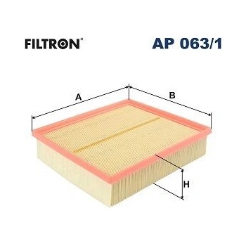 FILTRON Vzduchový filter AP 063/1