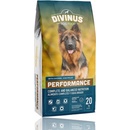 Granule pre psov Divinus Performance for German Shepherd 20 kg