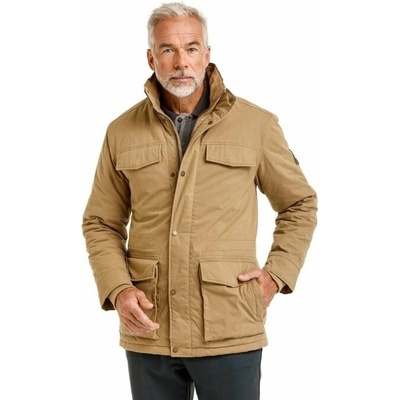 Bushman Hayk camel