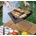 InnovaGoods Foldecue