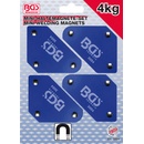 BGS 3004