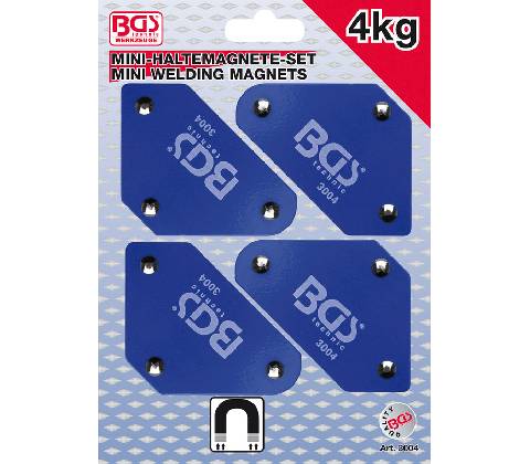 BGS 3004